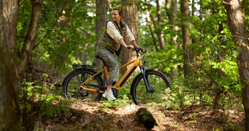 Mountain Bike